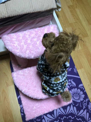 반진님이 올린 리뷰 사진 3