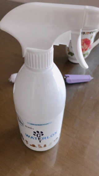 나서영님이 올린 리뷰 사진 1