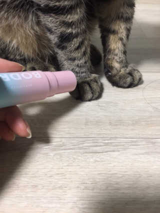 끼욤윤윤님이 올린 리뷰 사진 1