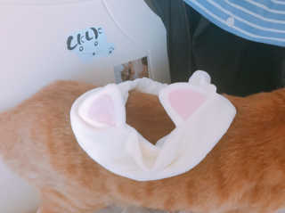 하린님이 올린 리뷰 사진 2