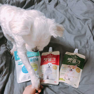[빙그레] 에버그로 생유산균 1봉（10포입）+펫밀크2팩 — 5점을 준 리뷰어가 2019년 6월 올린 사용 사진
