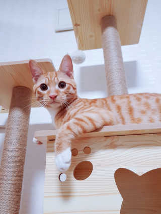 깜뽐님이 올린 리뷰 사진 2