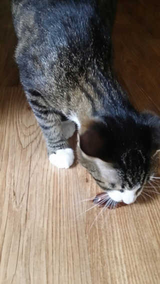 이설희님이 올린 리뷰 사진 2