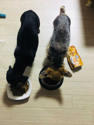 민블리님이 올린 리뷰 사진 2