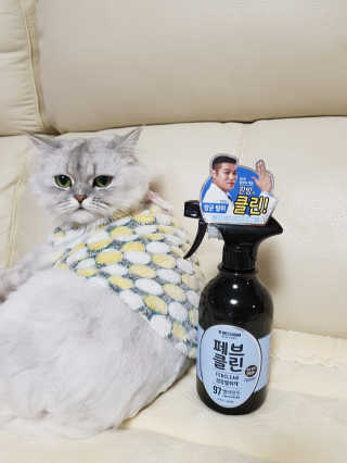 더블유드레스룸 페브클린 500ml — 5점을 준 리뷰어가 2018년 11월 올린 사용 사진