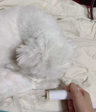 새초미님이 올린 리뷰 사진 2