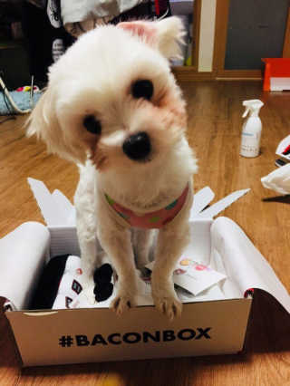 HS님이 올린 리뷰 사진 2