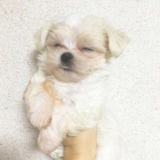 온달달님이 올린 리뷰 사진 3