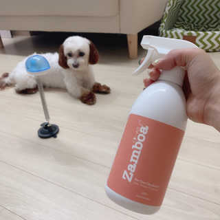 챔미님이 올린 리뷰 사진 2
