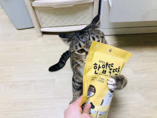 MinyeonCha님이 올린 리뷰 사진 2