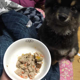 정아님이 올린 리뷰 사진 3