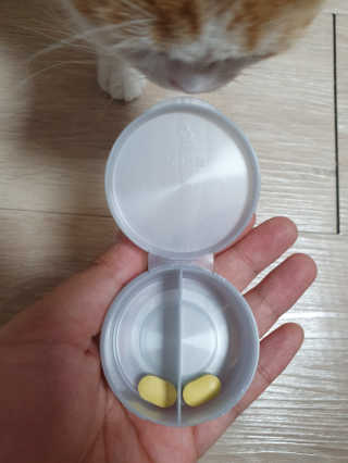 전준서님이 올린 리뷰 사진 4