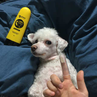 은지짱님이 올린 리뷰 사진 4