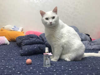 달콤님이 올린 리뷰 사진 1