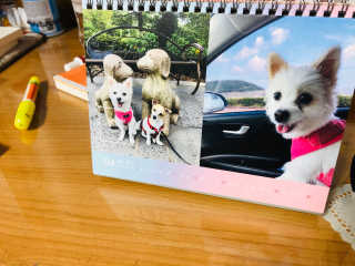 Lily님이 올린 리뷰 사진 1