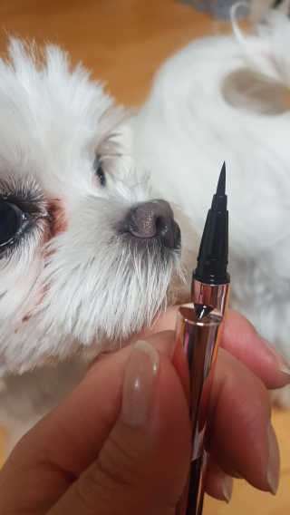 뽀오오옹님이 올린 리뷰 사진 2