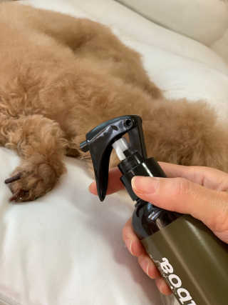 비비안님이 올린 리뷰 사진 2