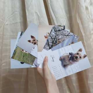 솜희님이 올린 리뷰 사진 4