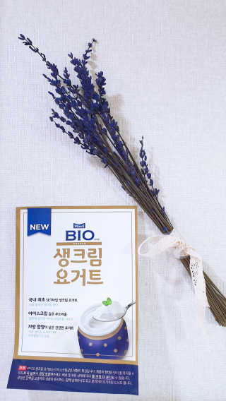 [매일 바이오] 생크림요거트 플레인 12개 + 유자 12개 — 5점을 준 리뷰어가 2019년 6월 올린 사용 사진