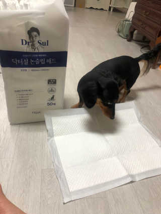 chakan님이 올린 리뷰 사진 2