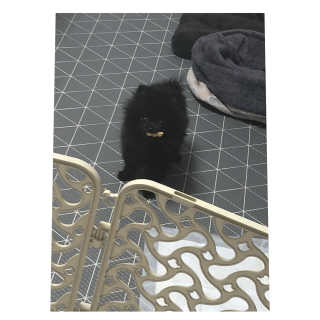은쓸님이 올린 리뷰 사진 2