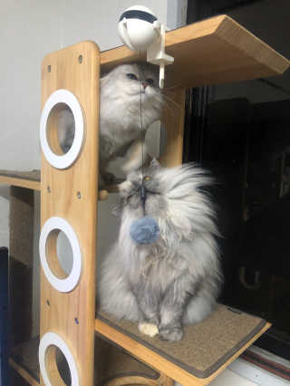 mushroombyjj님이 올린 리뷰 사진 3