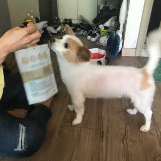 김다움님이 올린 리뷰 사진 4