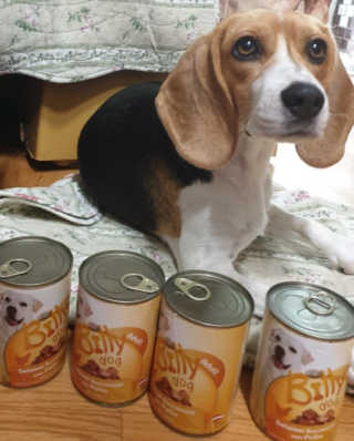 beaglelove님이 올린 리뷰 사진 3