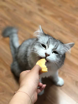 도토밤님이 올린 리뷰 사진 3