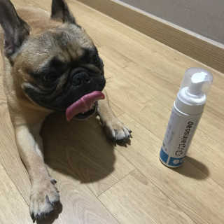 따리님이 올린 리뷰 사진 2