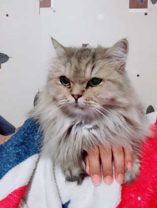 콩둘둘님이 올린 리뷰 사진 2