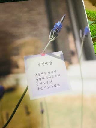 뮤직러브203님이 올린 리뷰 사진 4