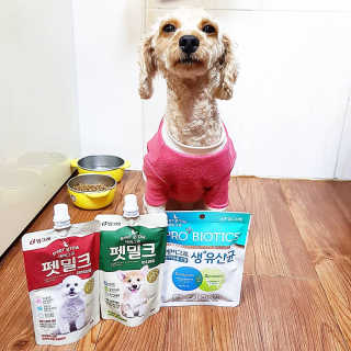 [빙그레] 에버그로 생유산균 1봉（10포입）+펫밀크2팩 — 5점을 준 리뷰어가 2019년 5월 올린 사용 사진