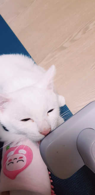 대박이님이 올린 리뷰 사진 1