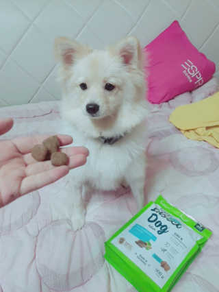 뚜뿌도도님이 올린 리뷰 사진 2