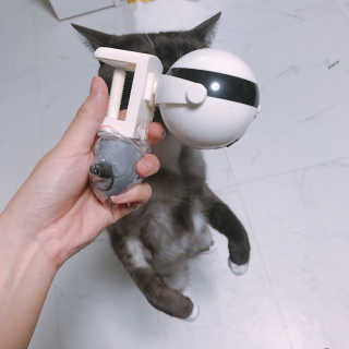 이잉룽님이 올린 리뷰 사진 3