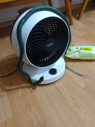 여아경님이 올린 리뷰 사진 2