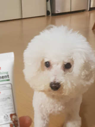 최시아님이 올린 리뷰 사진 1