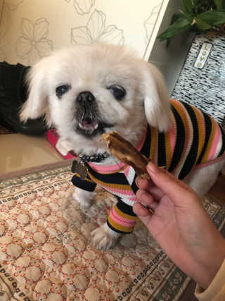예둡님이 올린 리뷰 사진 4