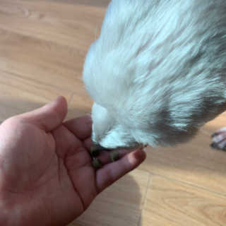 블리언니슈슈님이 올린 리뷰 사진 4