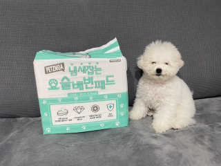 kmakmsss님이 올린 리뷰 사진 2