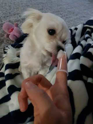 수빈님이 올린 리뷰 사진 4