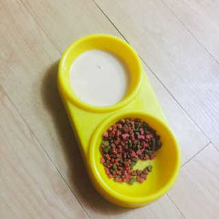 김가영님이 올린 리뷰 사진 2