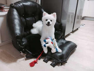 루이님이 올린 리뷰 사진 1