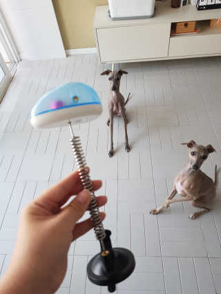 이다금님이 올린 리뷰 사진 1