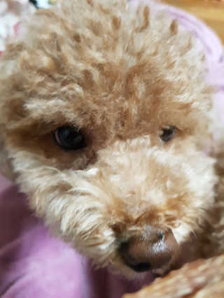 뚠꾸뚠꾸💕님이 올린 리뷰 사진 3