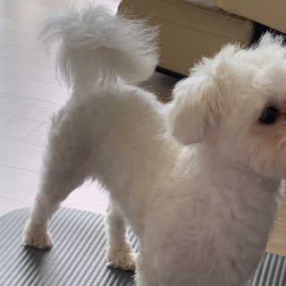 정주리님이 올린 리뷰 사진 4