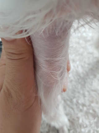 꿀돼지좋아님이 올린 리뷰 사진 4