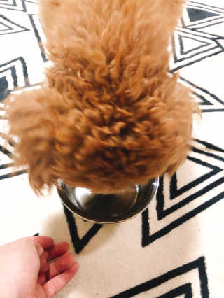 sorang님이 올린 리뷰 사진 4