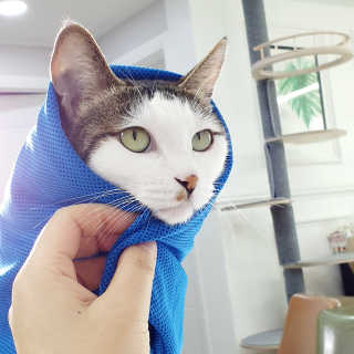 제니언니님이 올린 리뷰 사진 1